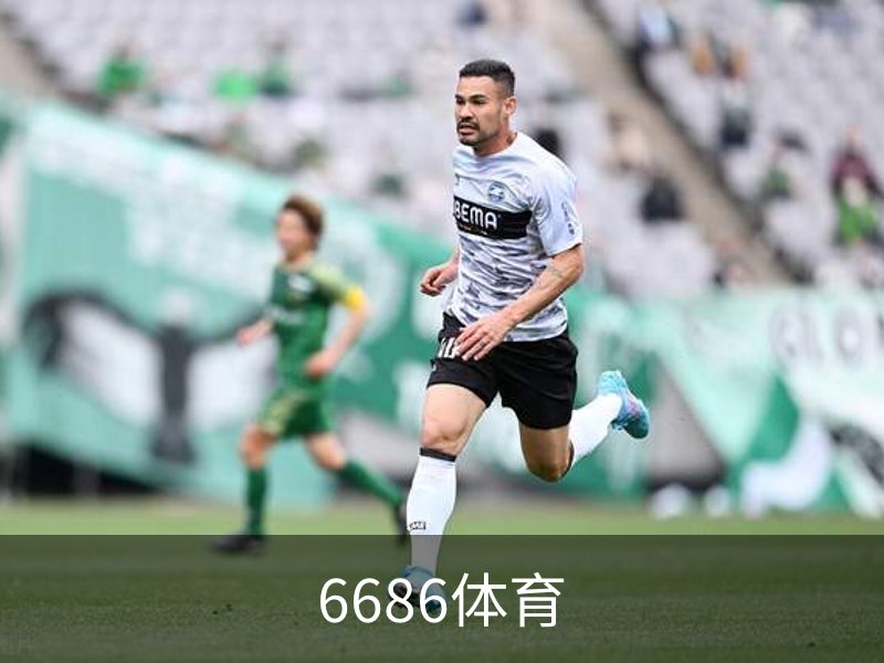 6686体育概况